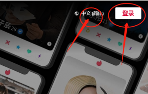 tinder网页版登录