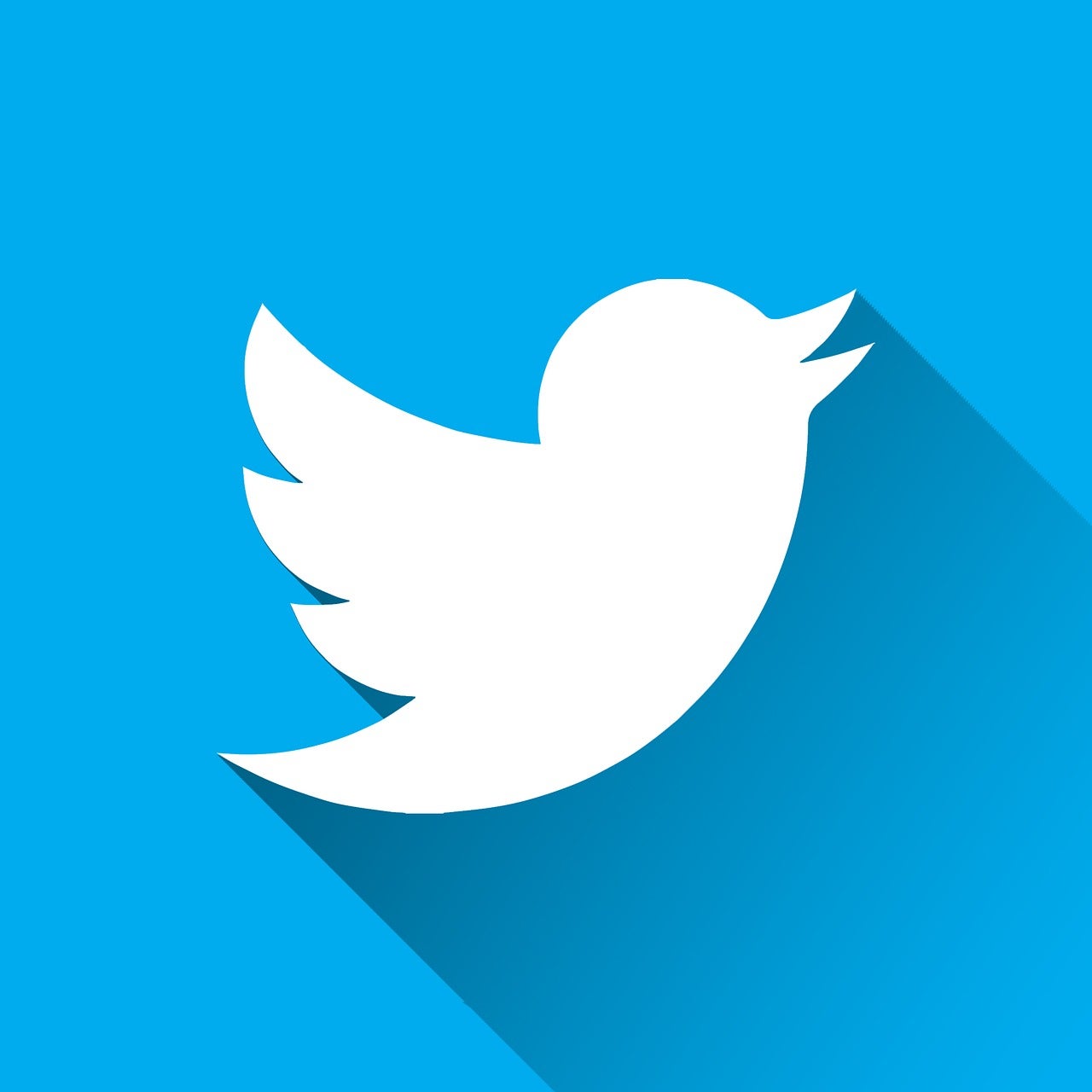 Twitter账户购买：有效途径或潜在风险？
