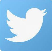 推特粉丝账号购买: 提升社交媒体影响力的专业选择