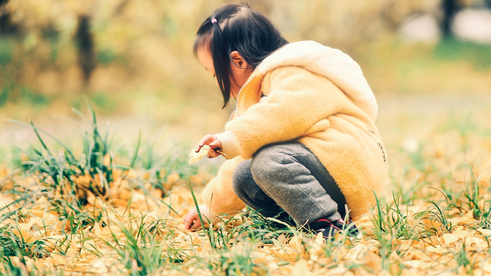 专业推荐：优质账户推荐与转发策略解读