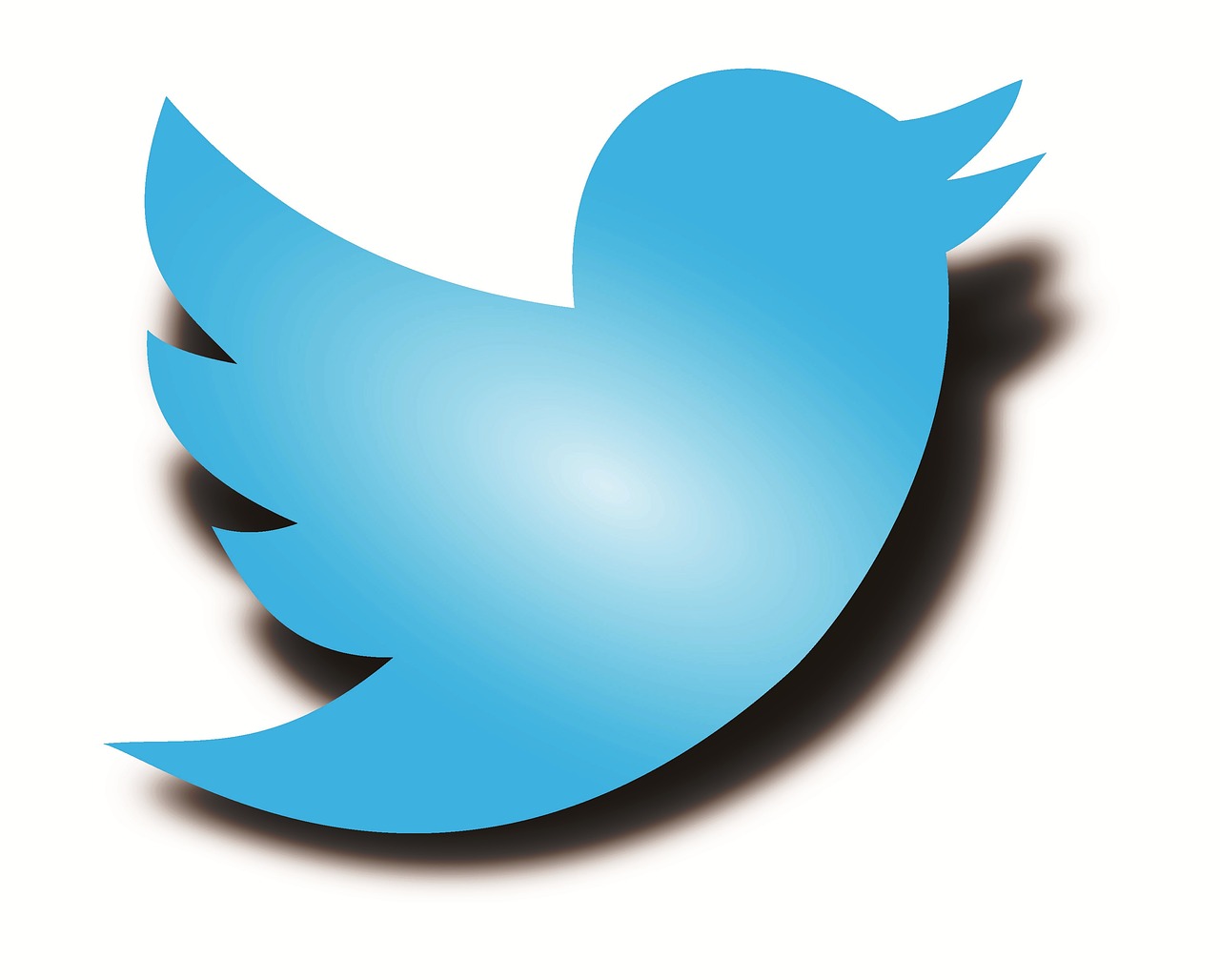 探寻Twitter账号：如何提高关注度和互动性